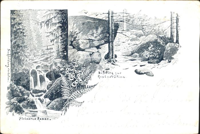 Wernigerode Harz Wasserfall in der Steinerne Renne