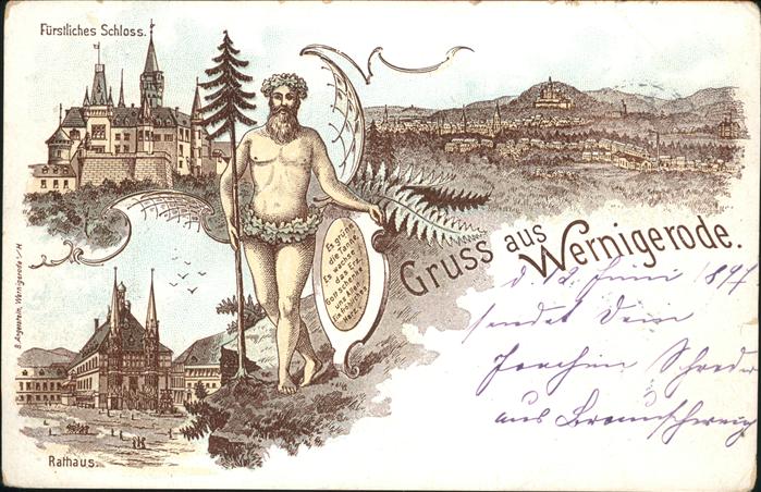 Wernigerode Harz Schloss u.Rathaus