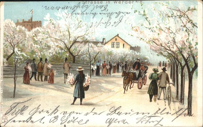 Werder Havel Strassenansicht