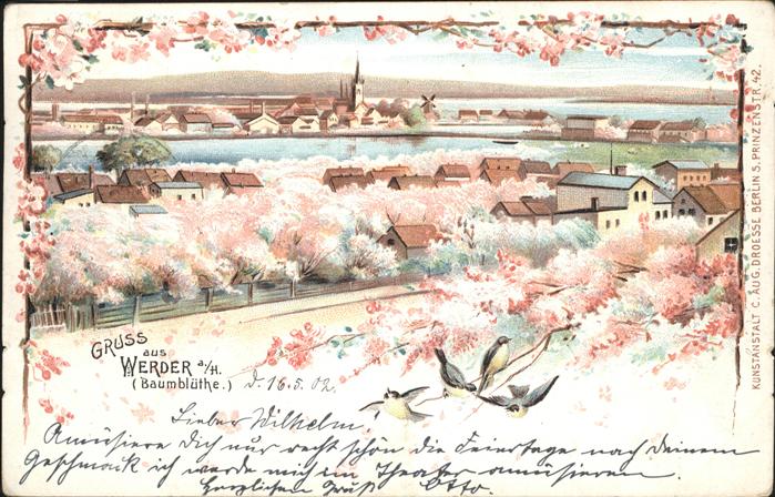 Werder Havel Mit Baumblüten