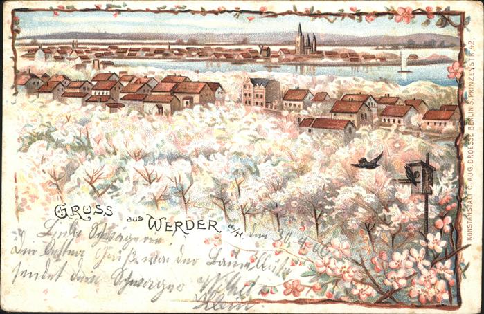 Werder Havel Mit Baumblüten