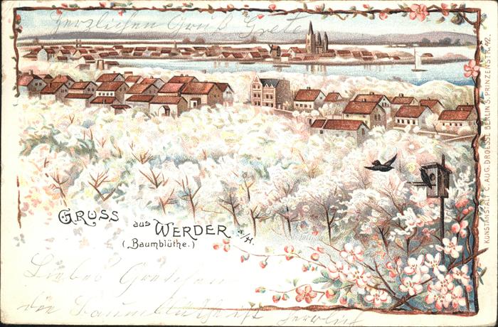 Werder Havel Mit Baumblüten