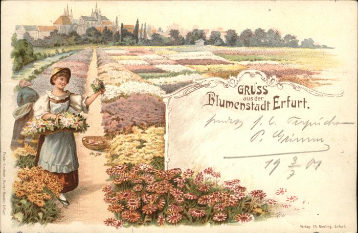Erfurt Blumenstadt Frau Feld