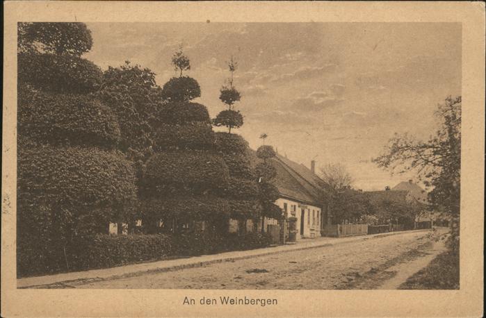 Bad Schmiedeberg Weinbergen Heidebilder