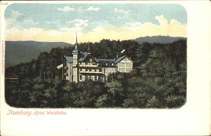 Ilsenburg Harz Hotel Waldhoehe