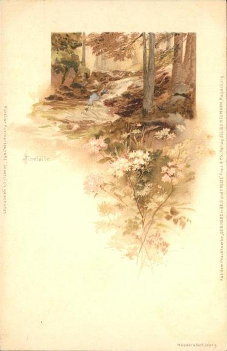 Ilsenburg Harz Ilsenfälle