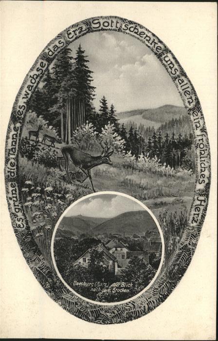 Ilsenburg Harz Brocken Reh Hirsch