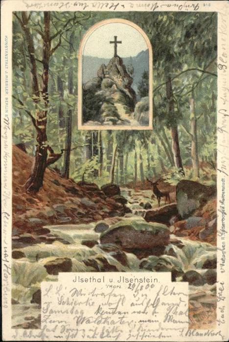 Ilsenburg Harz Ilsethal Ilsenstein Hirsch