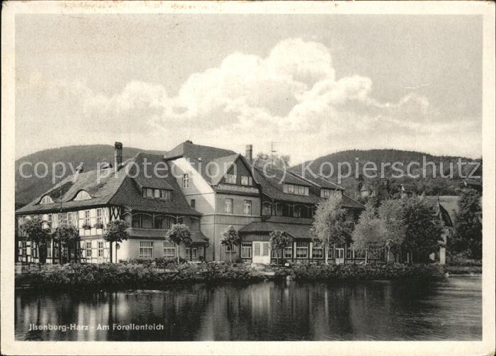 Ilsenburg Harz Forellenteich