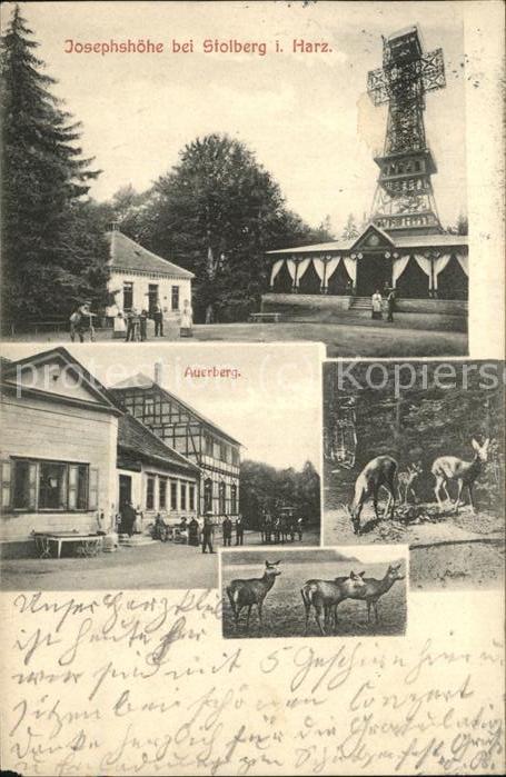 Stolberg Harz Josephshoehe Auerberg Hirsch Reh