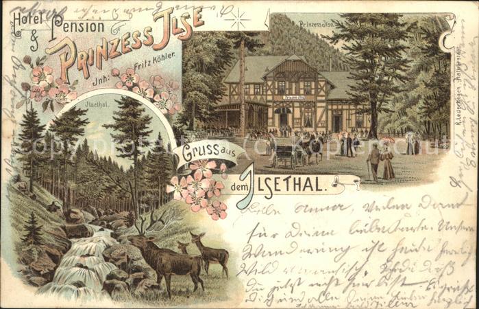 Ilsenburg Harz Ilsethal Hirsch Pension Prinzess Ilse