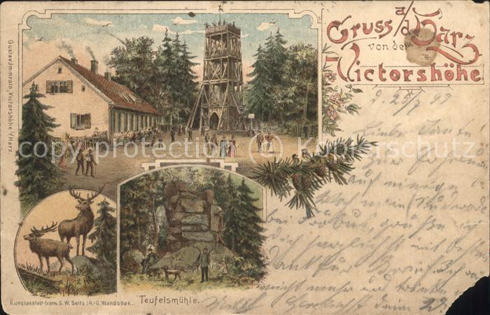 Ramberg Victorshöhe Harz Teufelsmühle Hirsch