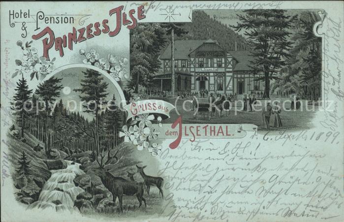 Ilsetal Harz Hotel Pension Prinzess Ilse