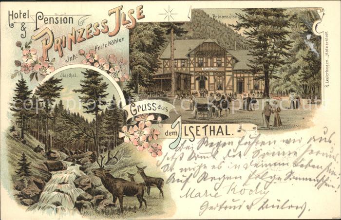 Ilsetal Harz Prinzess Ilse Hotel Reh Hirsch