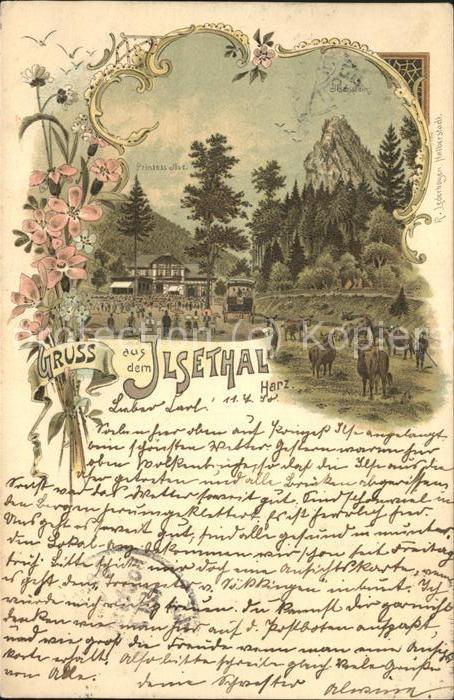 Ilsetal Harz Ilsethal Prinzess Ilse Hotel