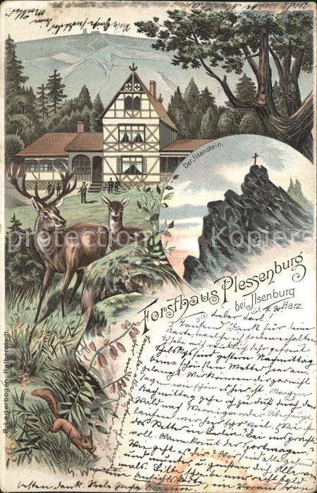 Plessenburg Forsthaus b. Ilsenburg