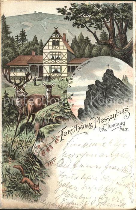 Ilsenburg Harz Forsthaus Plessenburg Ilsenstein Hirsch