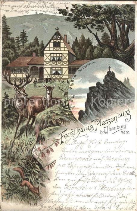 Ilsenburg Harz Forsthaus Plessenburg