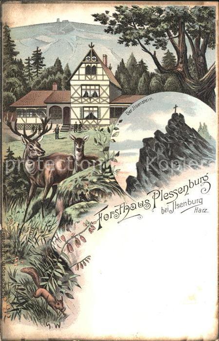 Ilsenburg Harz Forsthaus Plessenburg Reh Hirsch