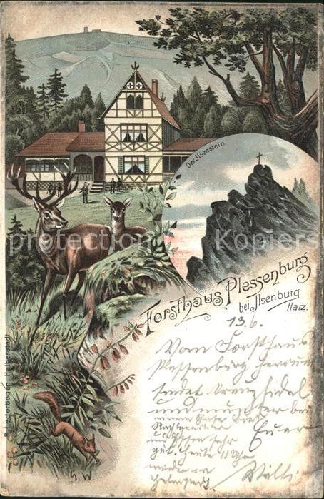 Ilsenburg Harz Forsthaus Plessenburg Ilsenstein