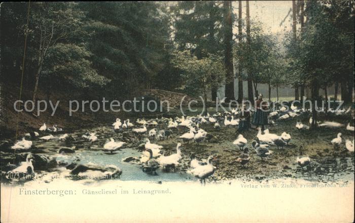 Finsterbergen Gänseliesel Leinagrund