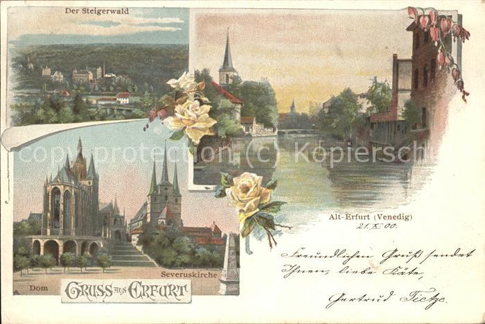 ERFURT  CITY Steigerwald Severuskirche Dom