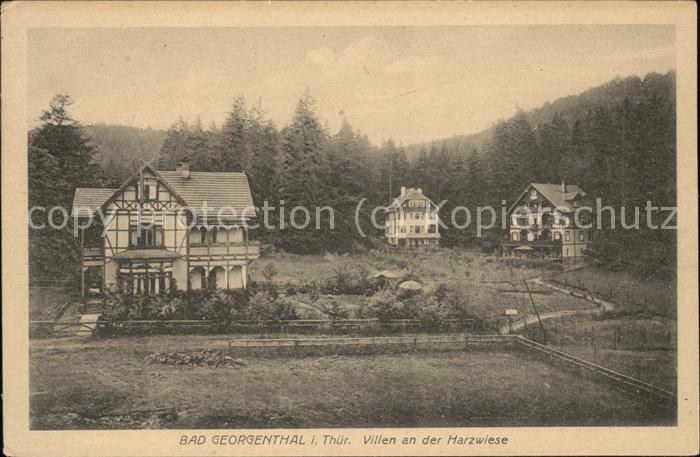 Georgenthal Bad Georgenthal Vollen Harzwiese