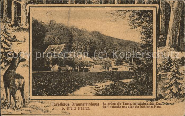 Ilfeld Ilfeld Suedharz Forsthaus Braunsteinhaus
