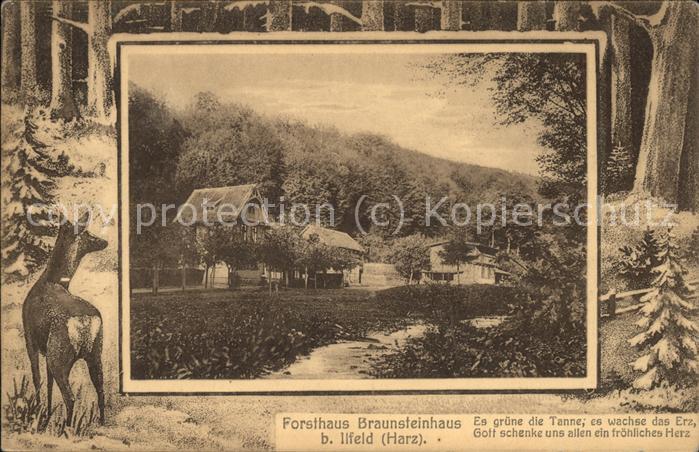 Ilfeld Ilfeld Suedharz Forsthaus Braunsteinhaus Reh