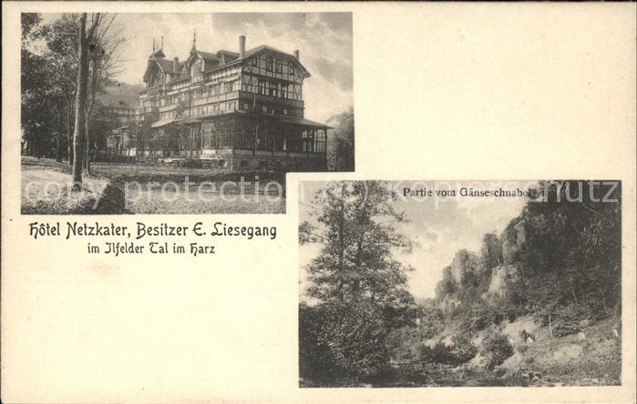 Ilfeld Ilfeld Suedharz Hotel Netzkater Bes. E. Liesegang Gänse