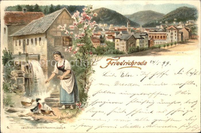 Friedrichroda Mühle Enten