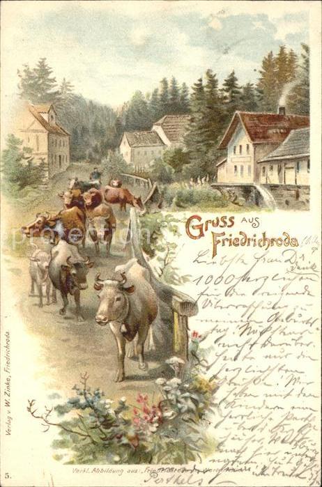 Friedrichroda Kühe
