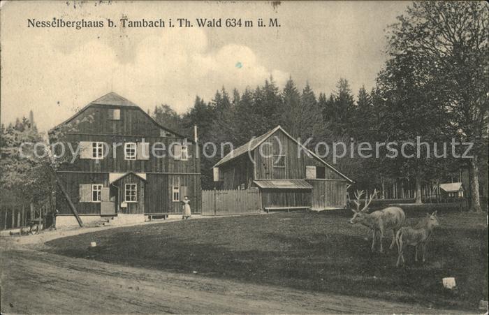 Tambach-Dietharz Nesselberghaus Wild