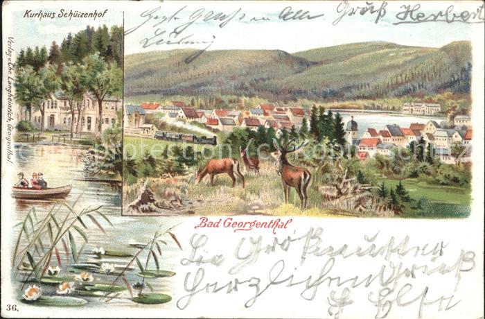 Georgenthal Panorama Kurhaus Schützenhof Wild