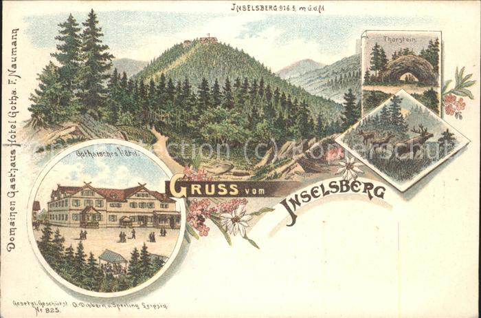 Eisenach Thueringen Inselberg Thorstein Wild Gothaisches Hotel