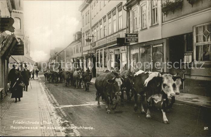 Friedrichroda Hauptstrasse mit Kuhherde
