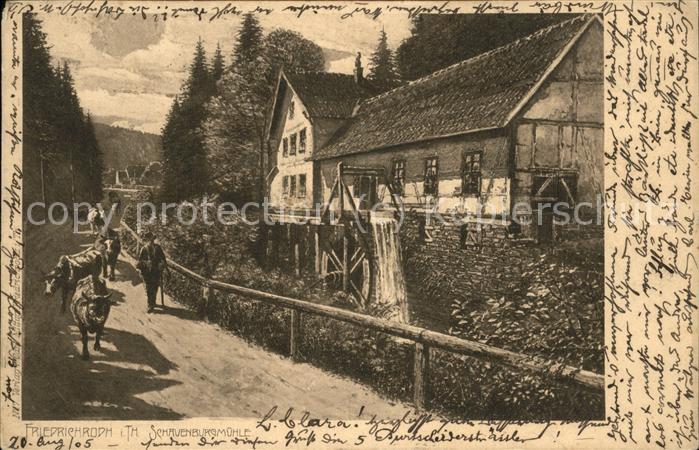 Friedrichroda Schauenburgmühle Kühe