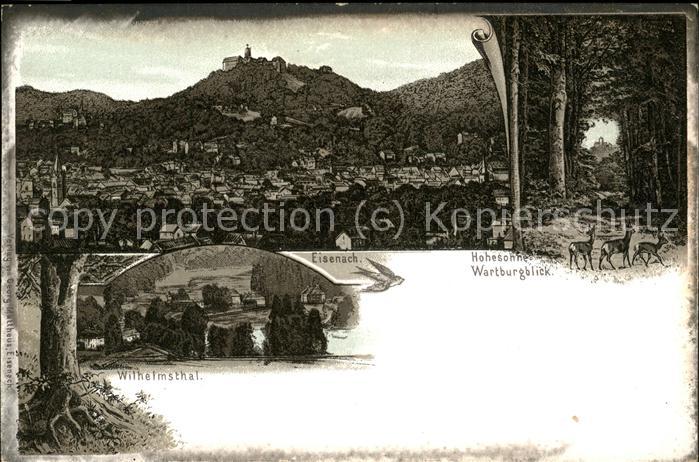 Eisenach Thueringen Wilhelmsthal Wartburg Hohe Sonne