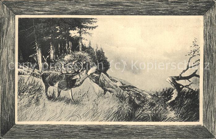 Inselsberg Schmalkalden Röhrender Hirsch