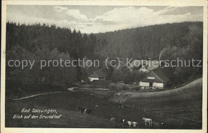 Bad Salzungen Grundhof Kuehe