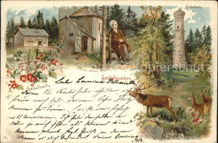 Gabelbach Thueringen Goethehäuschen Kickelhahn Wild