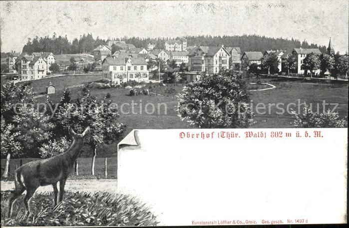 Oberhof Thueringen Panorama wild