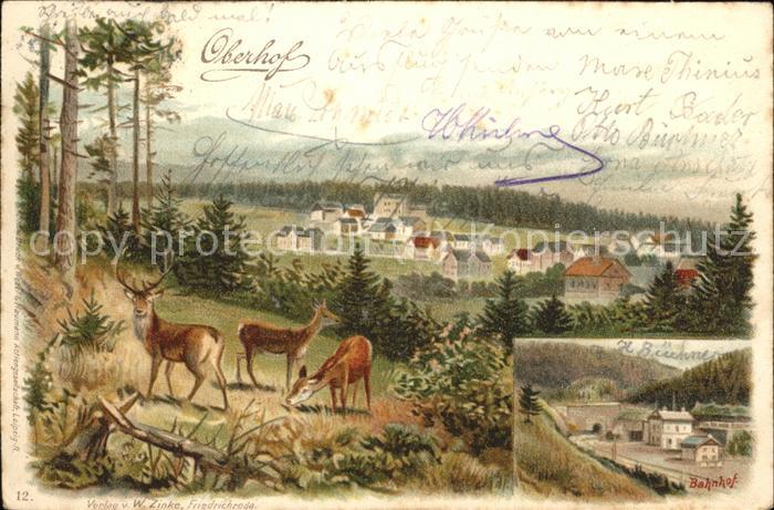 Oberhof Thueringen Panorama Wild Bahnhof