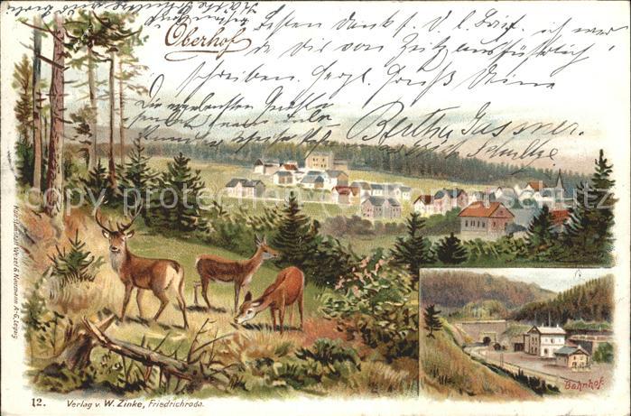 Oberhof Thueringen Panorama Bahnhof Wild