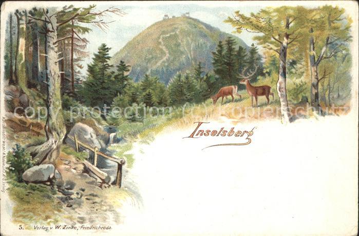 Inselsberg Schmalkalden Wild im Wald