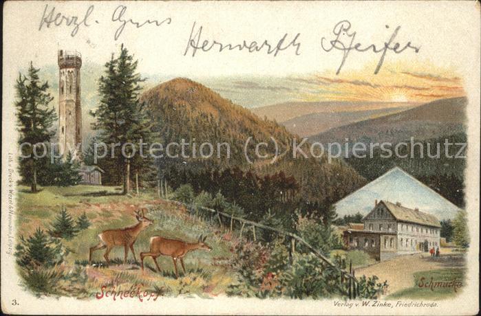 Schmuecke Schneekopf Turm Wild