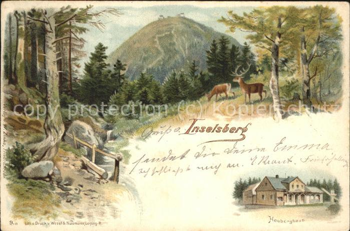 Inselsberg Schmalkalden Wild im Wald Heuberghaus