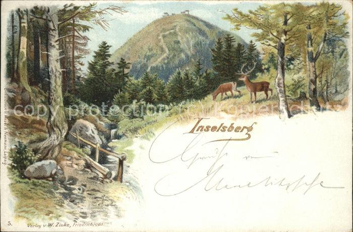 Inselsberg Schmalkalden Wild im Wald