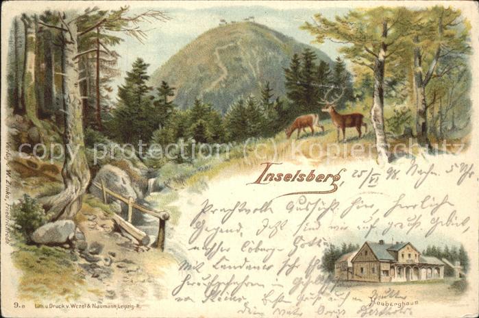 Inselsberg Schmalkalden Wild im Wald Heuberghaus