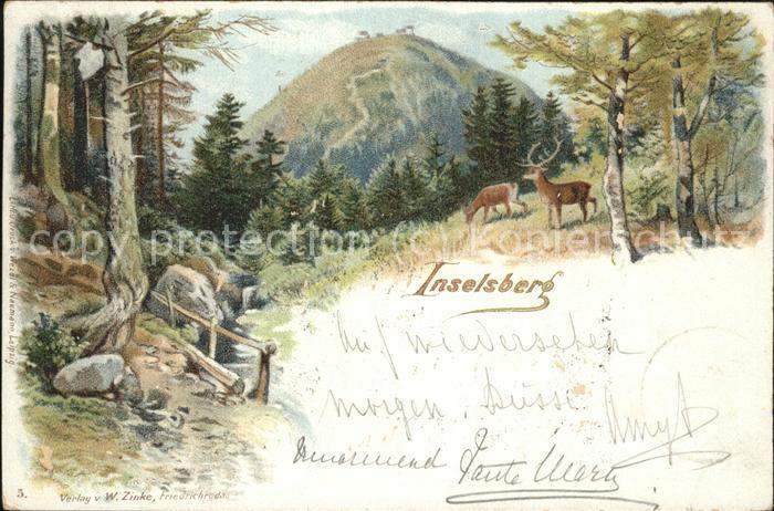 Inselsberg Schmalkalden Wild im Wald